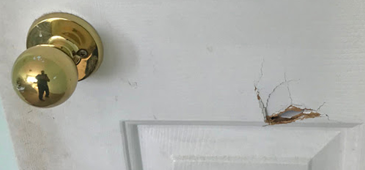 interior door hole repair San Diego Country Estates
